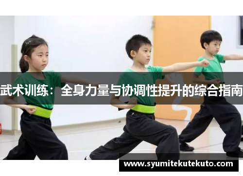 武术训练：全身力量与协调性提升的综合指南
