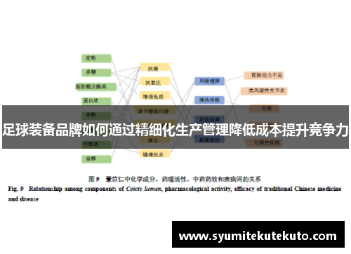 足球装备品牌如何通过精细化生产管理降低成本提升竞争力